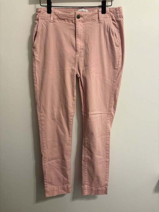 Pistola Pants - Pistola Pink High Rise Elastic Waist Jogger Chino Pants Size 29